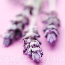 Load image into Gallery viewer, Rimix Curl Defining Leave-In Conditioner 2.0 - Lavender Vanilla
