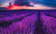 Load image into Gallery viewer, Rimix Curl Defining Leave-In Conditioner 2.0 - Lavender Vanilla
